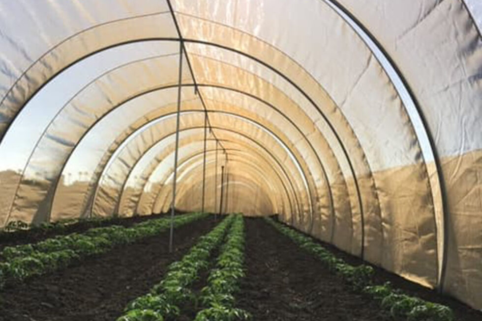 Geotextiles / Shade Cloth Manufacturer Wendell Fabrics Corporation